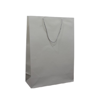 Paper Gift Bag